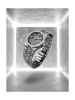 AI6007-SS009-030-1