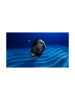 M026.907.37.051.00