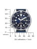 NY0141-10LE