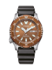 NY0164-65XE