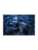 D012.907.11.047.02