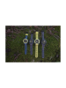 010-02932-01