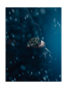 C050.607.44.051.02