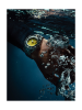 C050.607.44.361.02