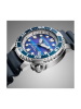 BN0167-09W
