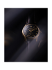 HCC006J1