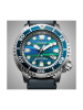 BN0167-09W