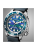 BN0167-09W