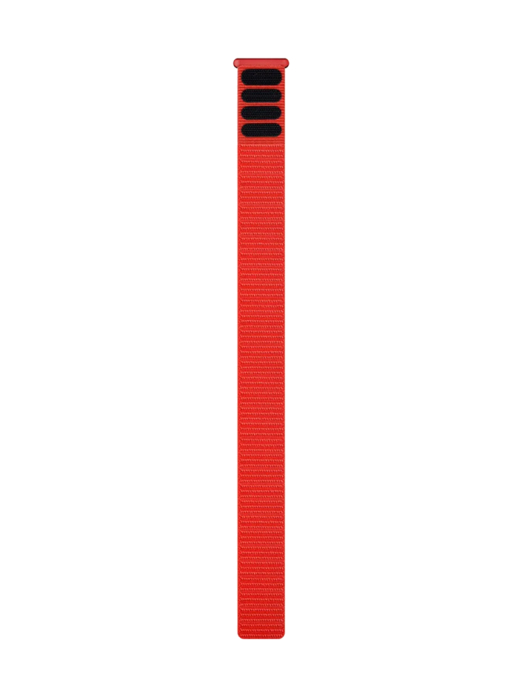 010-13306-12