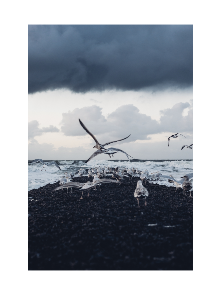 01 743 7734 4197-Set