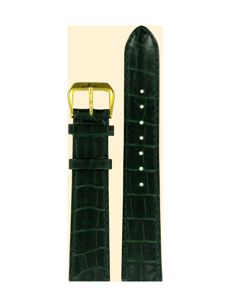 M600006172