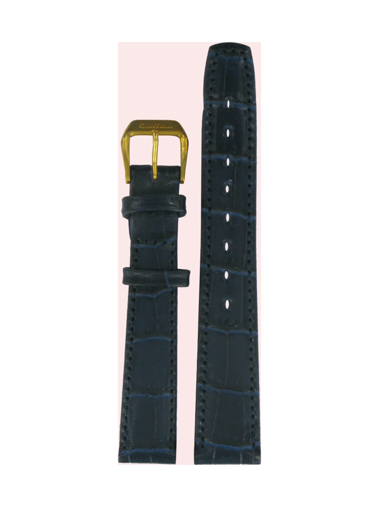 C600006885