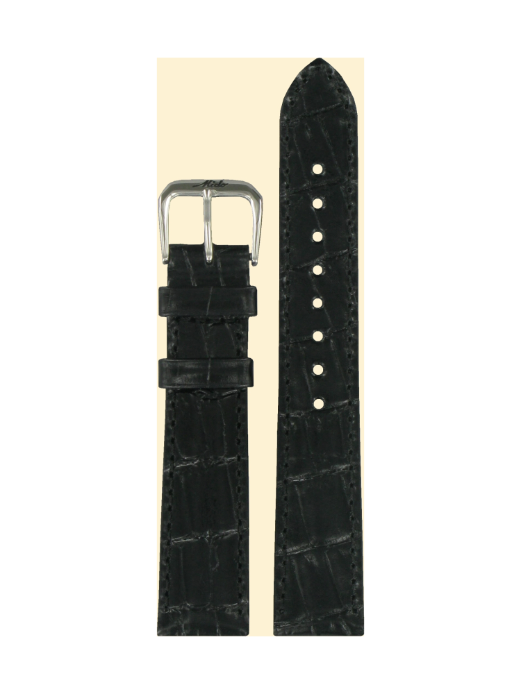 M600006061