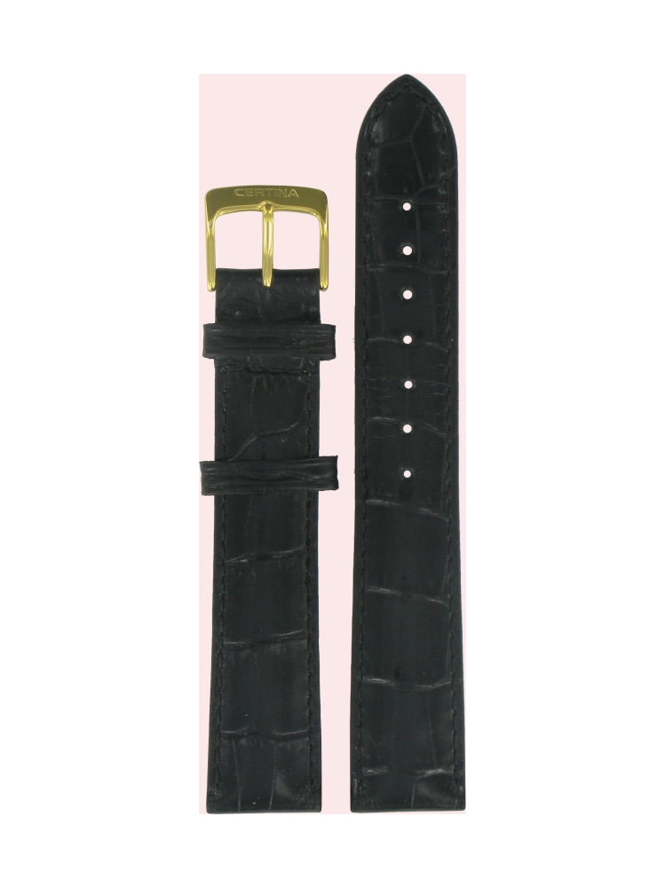 C600011310