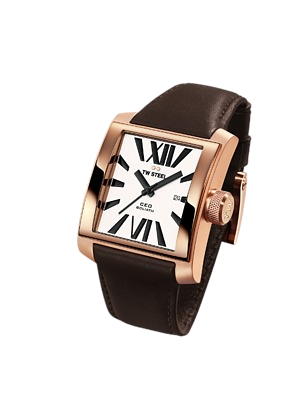 TWCE-3008