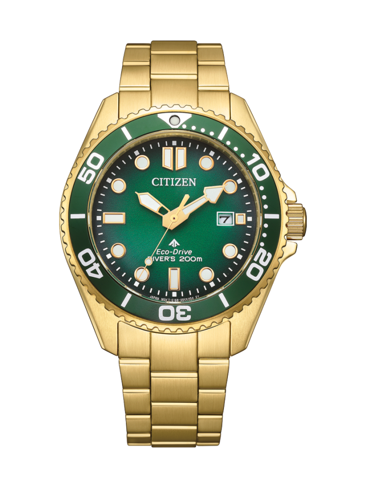 BN0262-59W