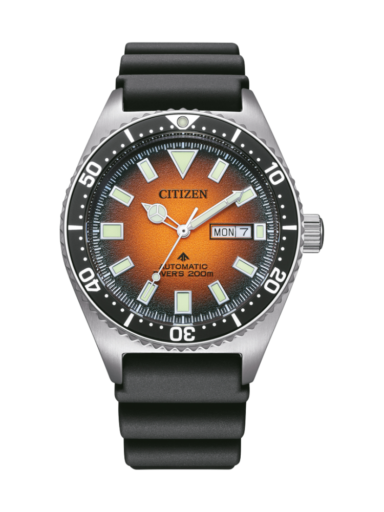 NY0120-01ZC