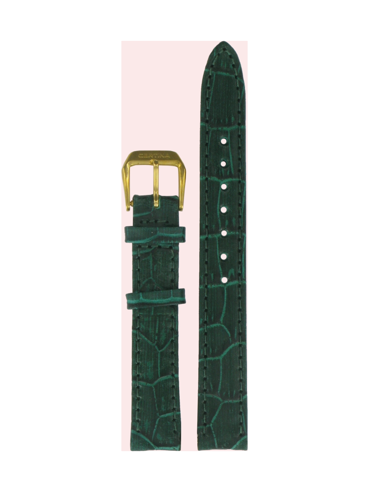 C600006858